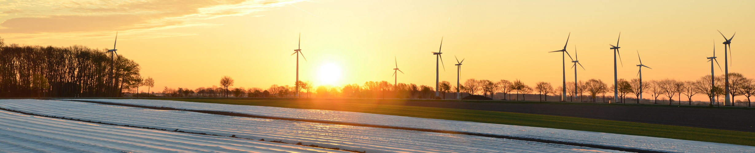 Sonnenaufgang Arpke