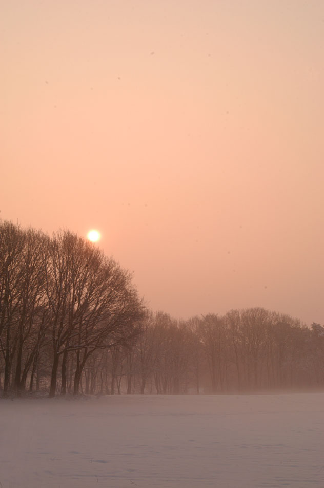 Sonnenaufgang - auch wenn's bestimmt der 1000. ist...