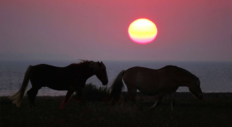 Sonnenaufgang auf Amrum