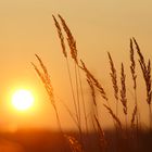 Sonnenaufgang auf Balkonien