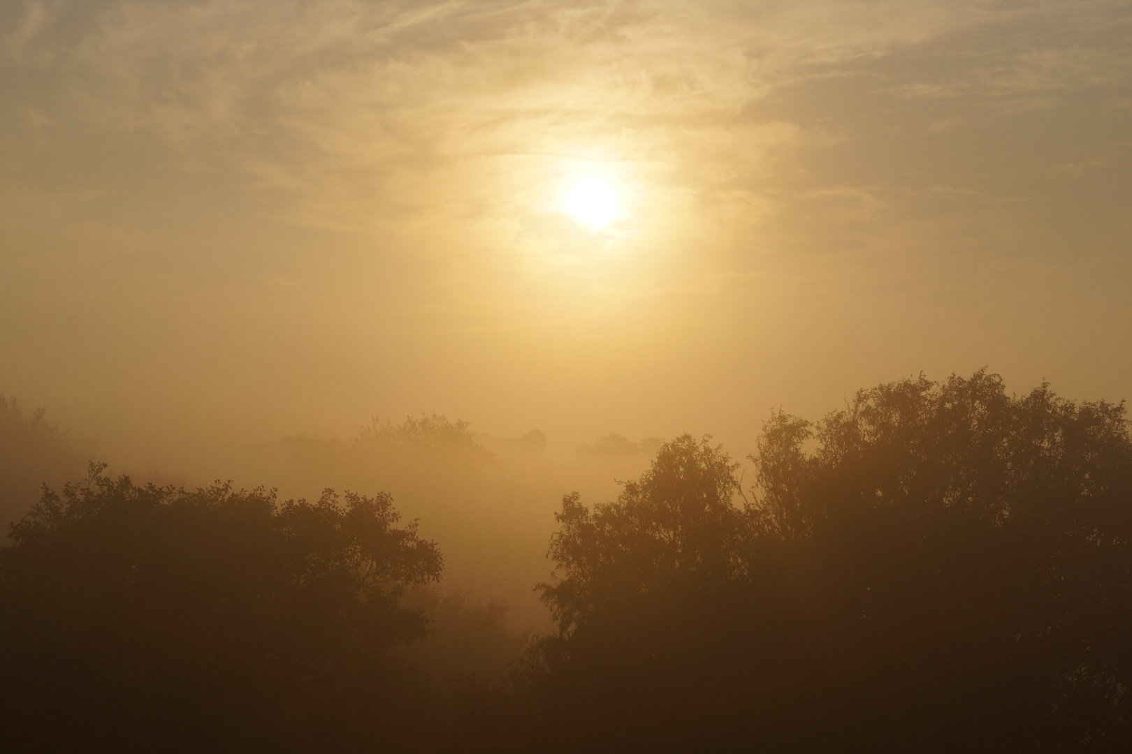 Sonnenaufgang auf Baltrum