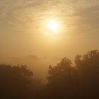 Sonnenaufgang auf Baltrum