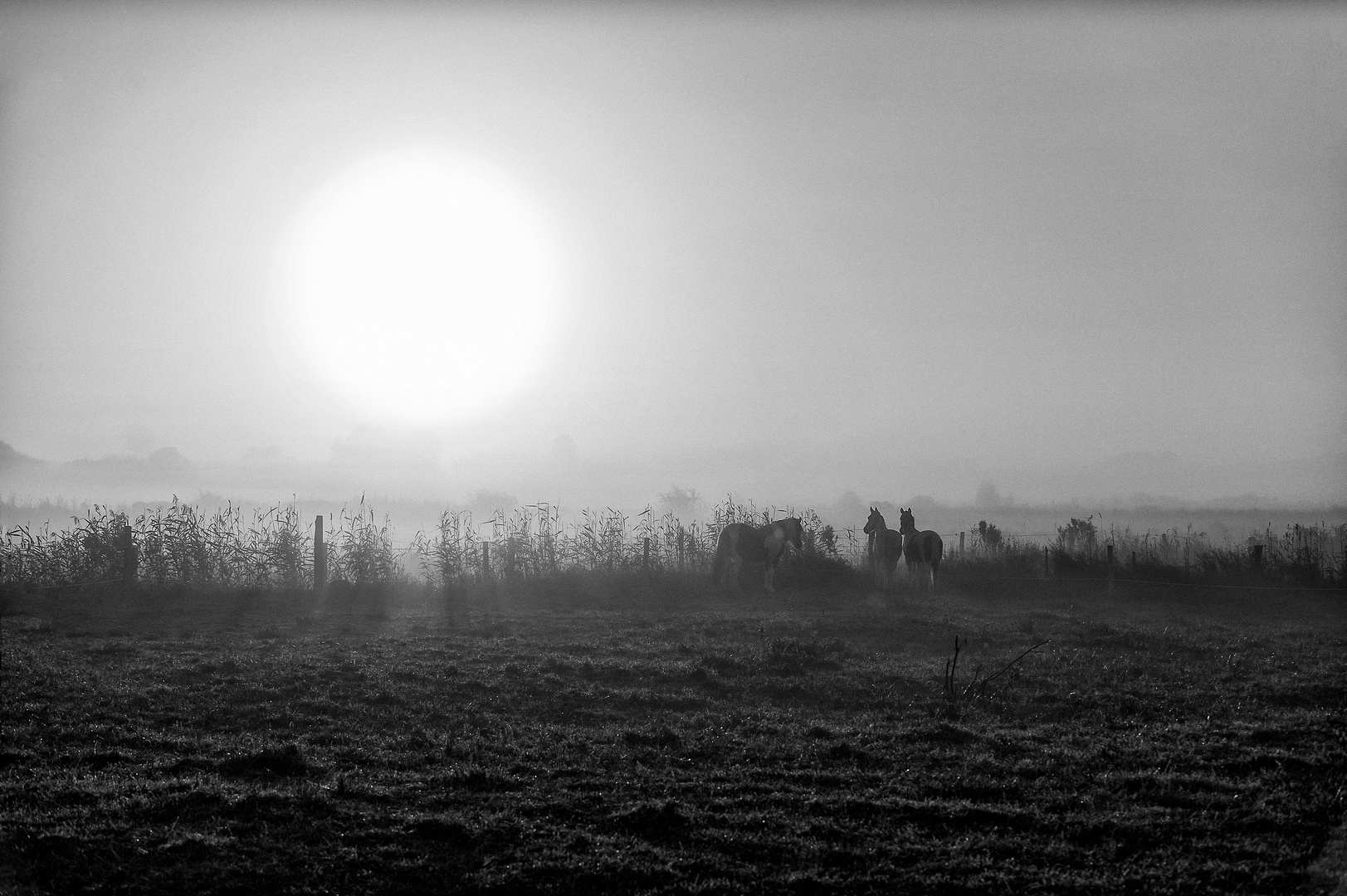 Sonnenaufgang auf Borkum