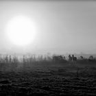 Sonnenaufgang auf Borkum