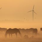 Sonnenaufgang auf Borkum