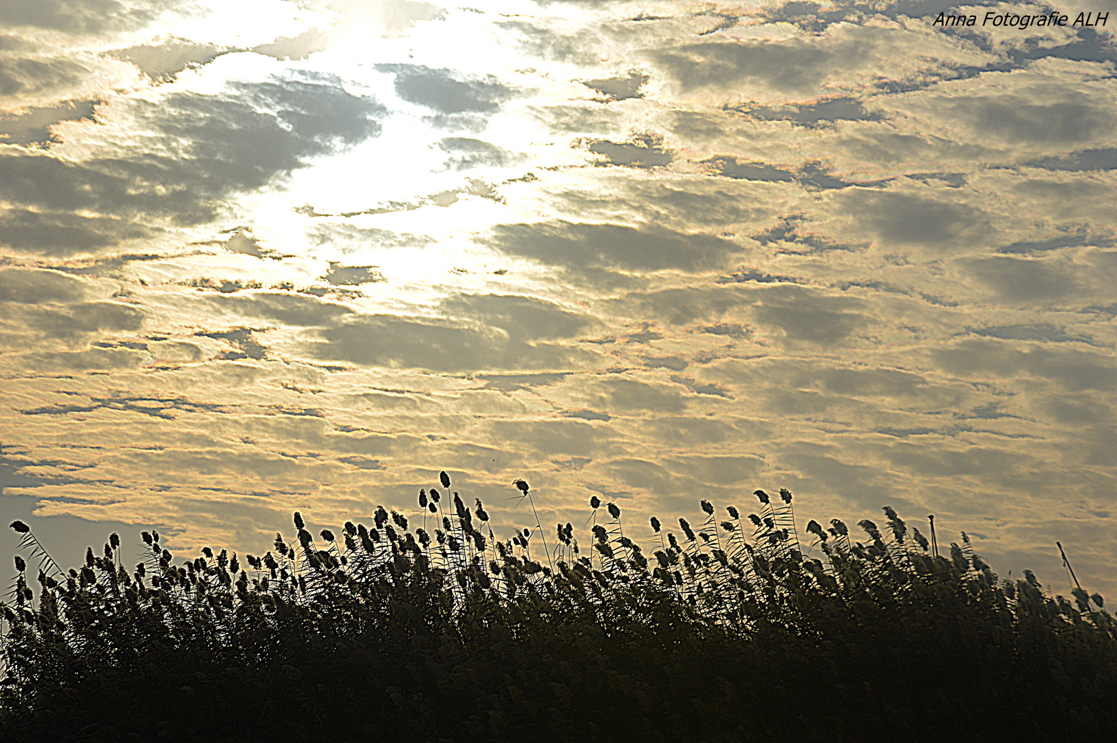 Sonnenaufgang auf CapCod