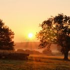 Sonnenaufgang auf dem Bauernhof - so schön kann die morgendliche Arbeit sein
