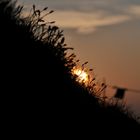 Sonnenaufgang auf dem Brienzer Rothorn