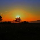 Sonnenaufgang auf dem Burghasunger Berg