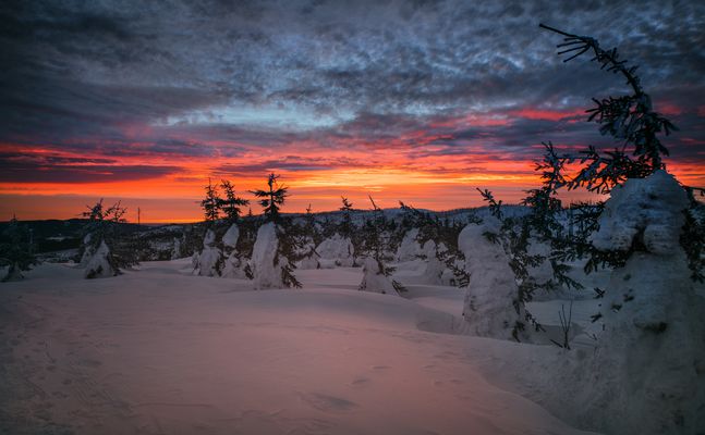 Sonnenaufgang auf dem Dreisesselberg