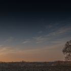 Sonnenaufgang auf dem Feld