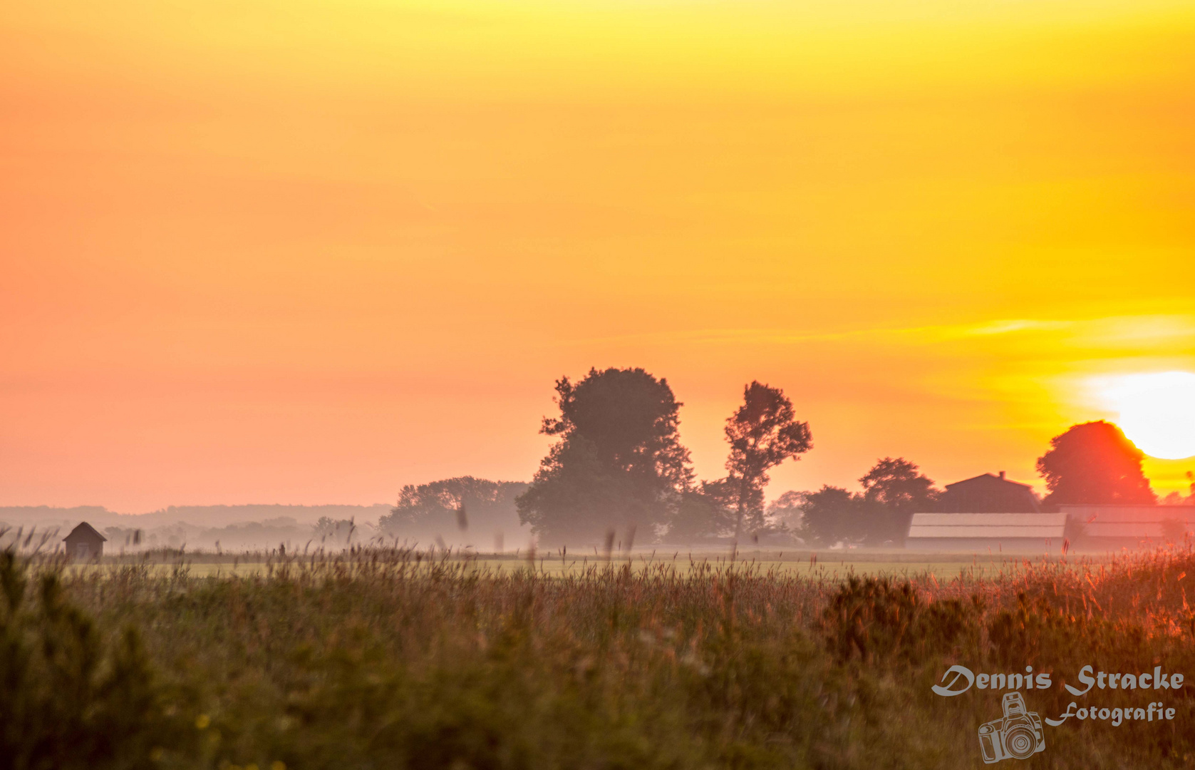 Sonnenaufgang auf dem Feld