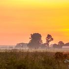 Sonnenaufgang auf dem Feld