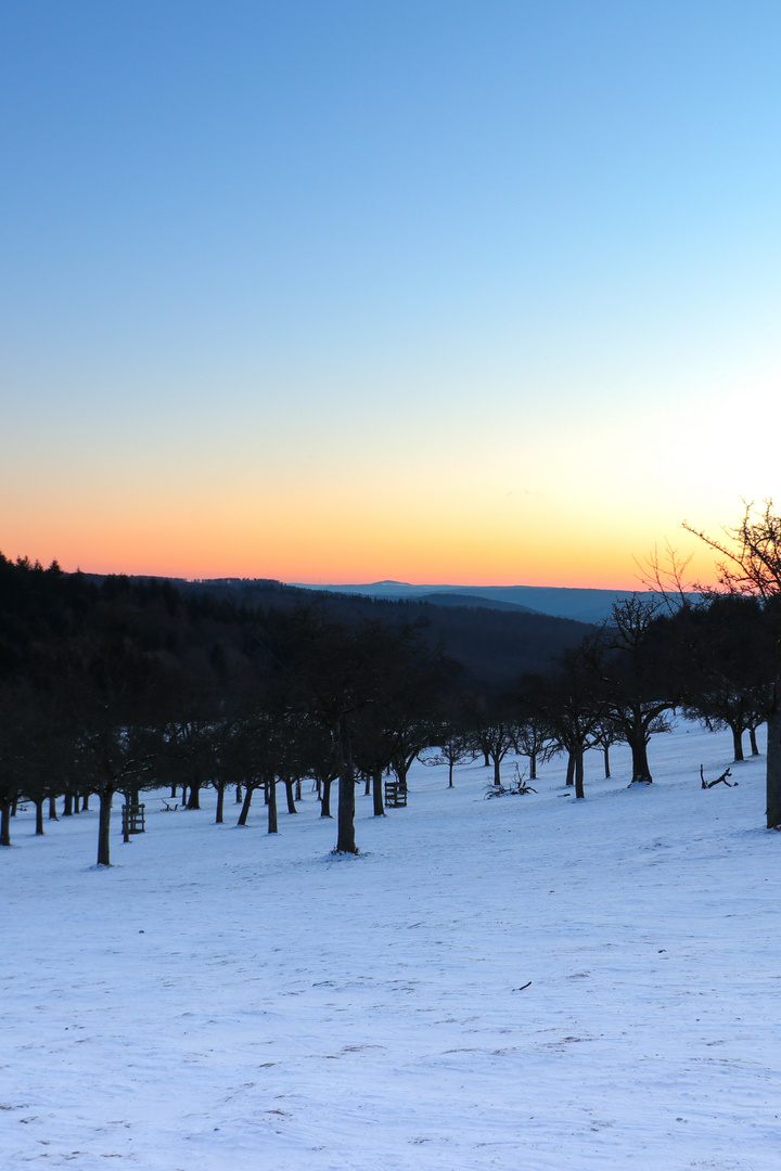 Sonnenaufgang auf dem Heidelberger Kohlhof (470m) 