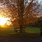 Sonnenaufgang auf dem Herrnhaag