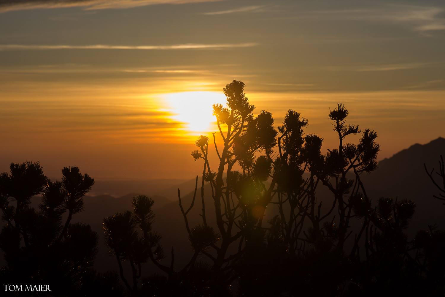 Sonnenaufgang auf dem Herzogstand Gipfel #1