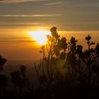 Sonnenaufgang auf dem Herzogstand Gipfel #1