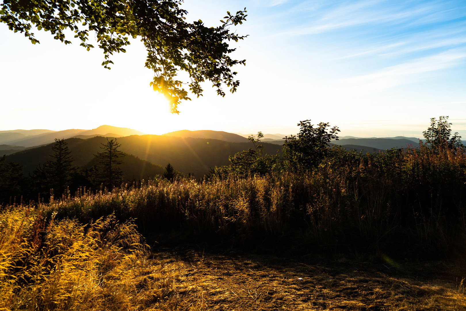 Sonnenaufgang auf dem Hochblauen