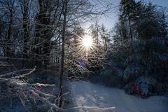 Sonnenaufgang auf dem Kammweg des Deisters