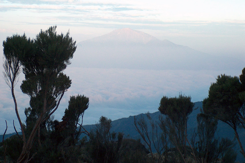 Sonnenaufgang auf dem Kilimanjaro