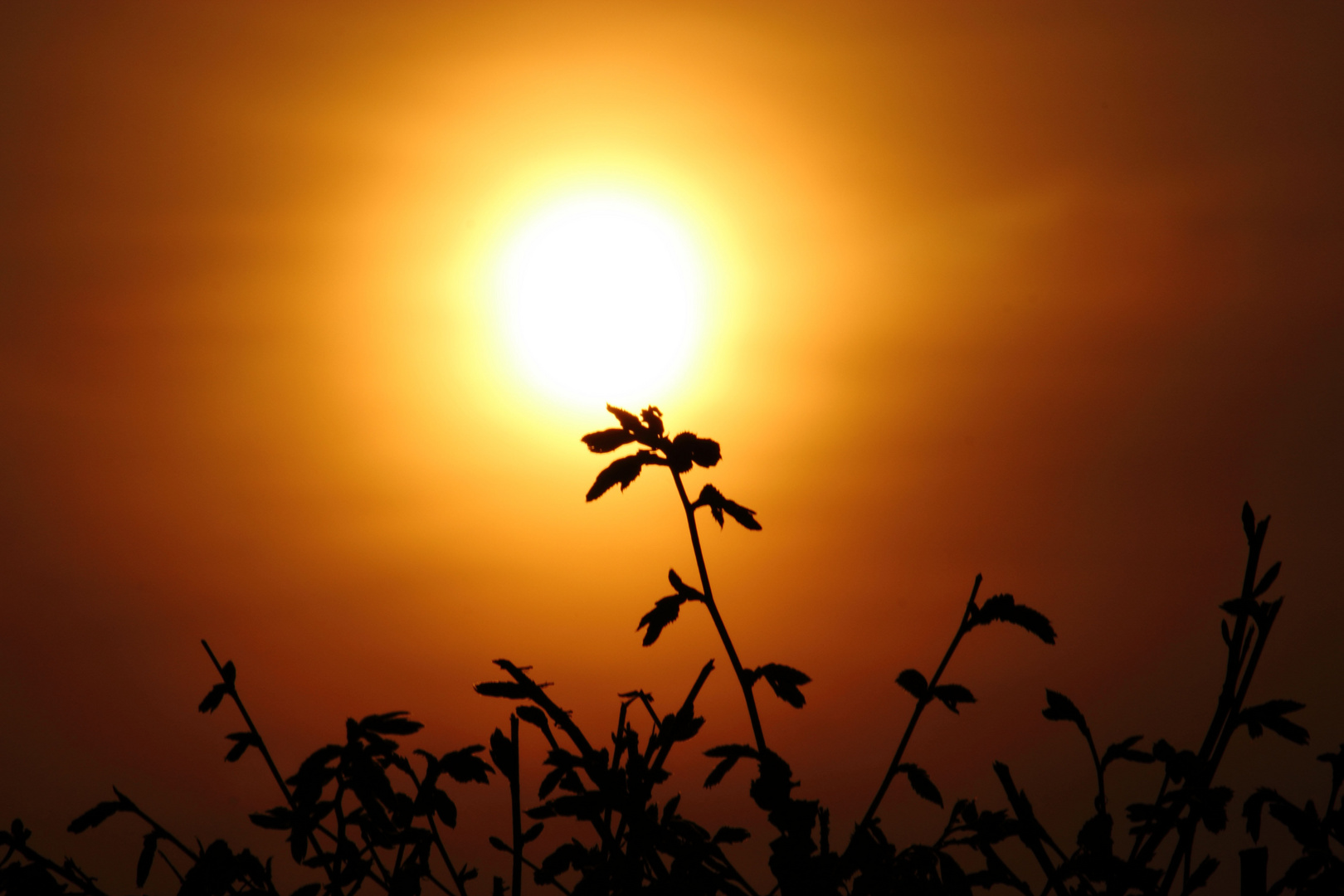 Sonnenaufgang auf dem Land