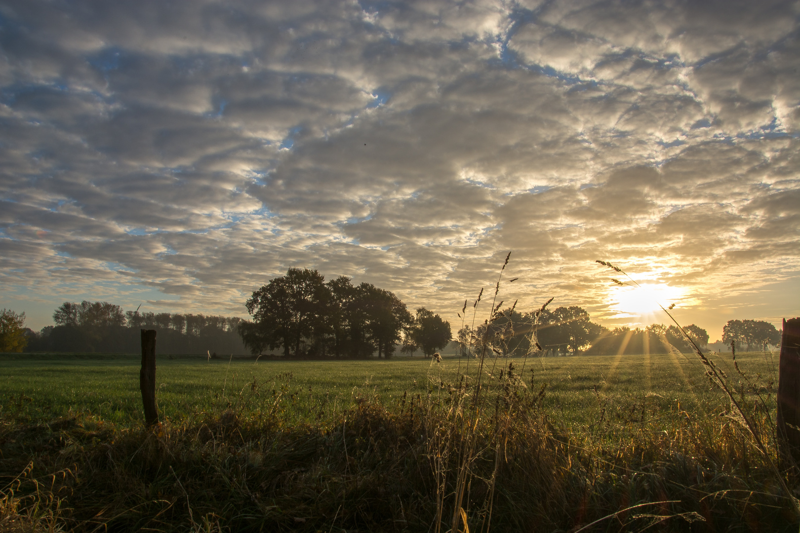 Sonnenaufgang auf dem Land