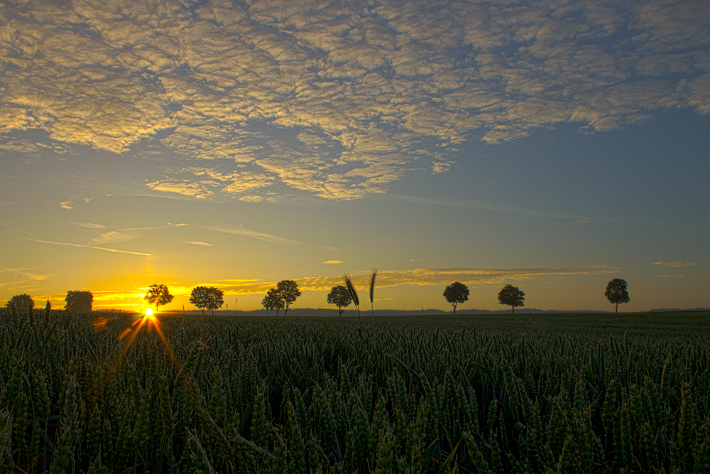 Sonnenaufgang auf dem Land