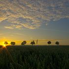 Sonnenaufgang auf dem Land