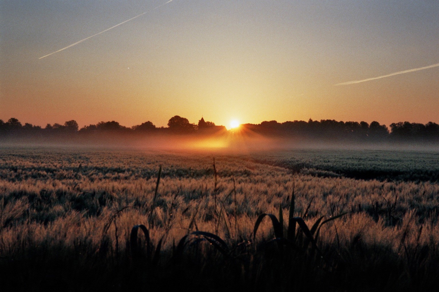 Sonnenaufgang auf dem Lande