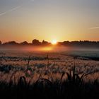 Sonnenaufgang auf dem Lande