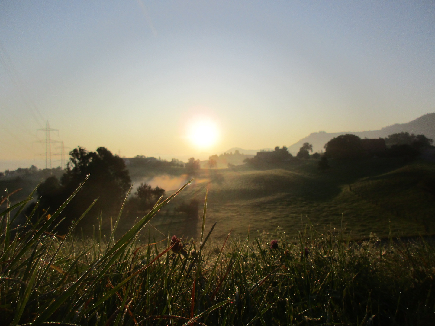 Sonnenaufgang auf dem Lande