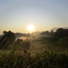 Sonnenaufgang auf dem Lande