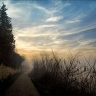 Sonnenaufgang - auf dem Leinpfad am Rhein bei Eltville