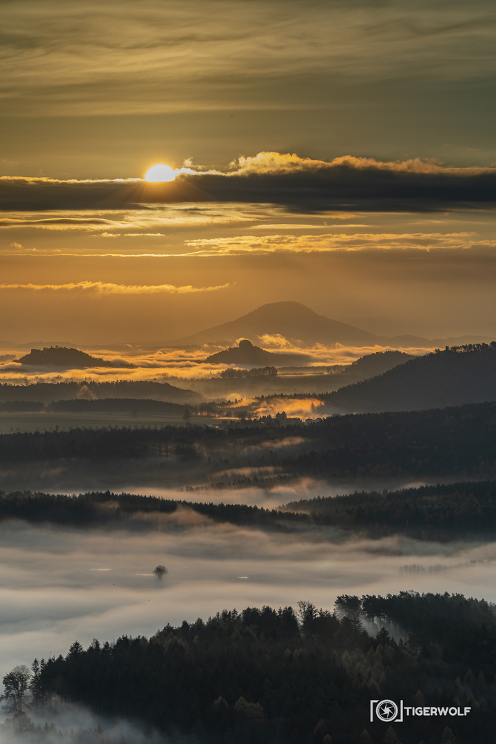 Sonnenaufgang auf dem Lilienstein