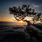 Sonnenaufgang auf dem Lilienstein