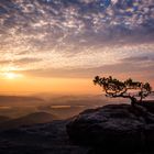 Sonnenaufgang auf dem Lilienstein