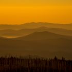 Sonnenaufgang auf dem Lusen ...