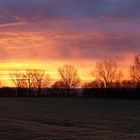 Sonnenaufgang auf dem Maifeld ...