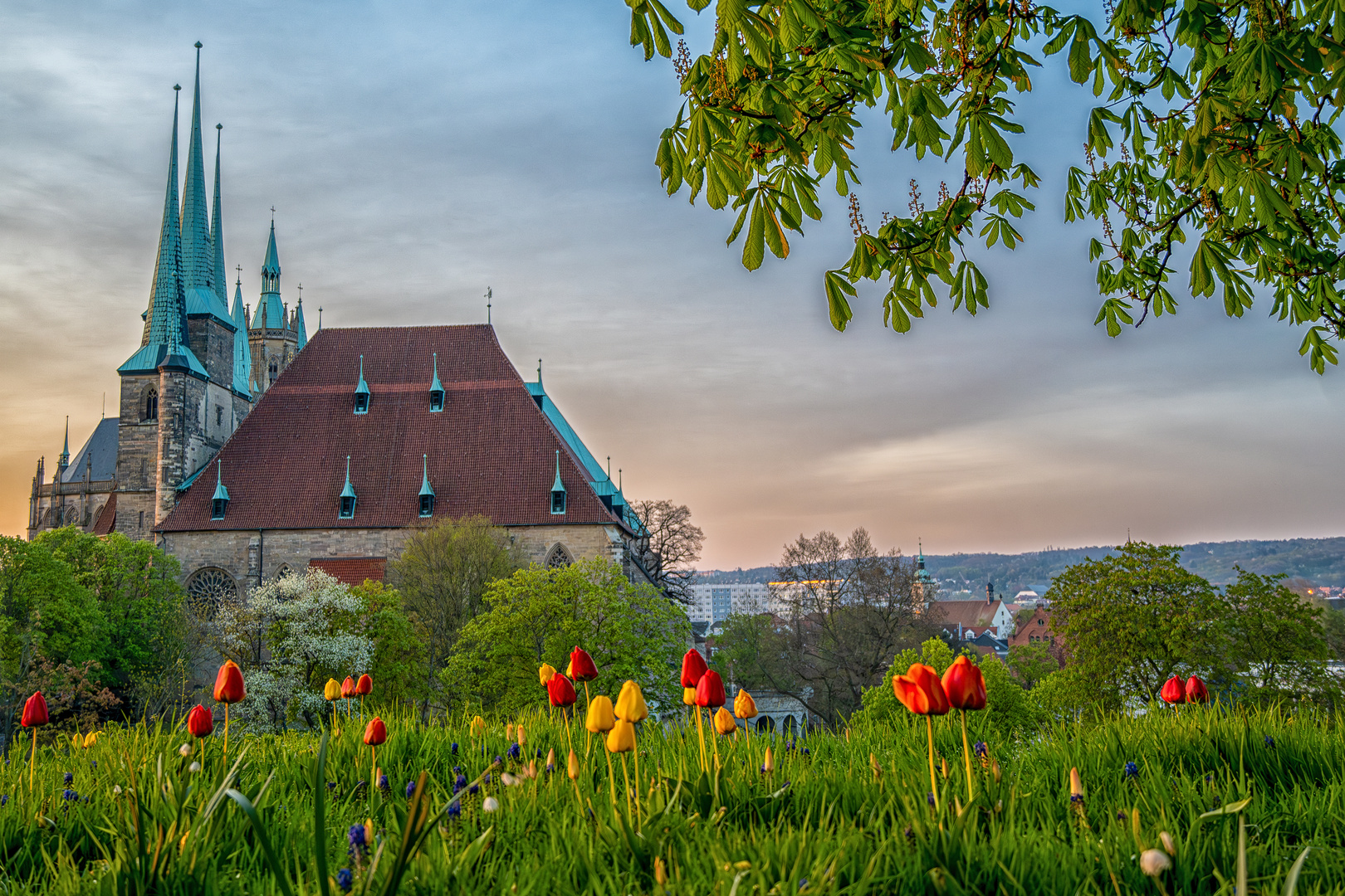 Sonnenaufgang auf dem Petersberg 07