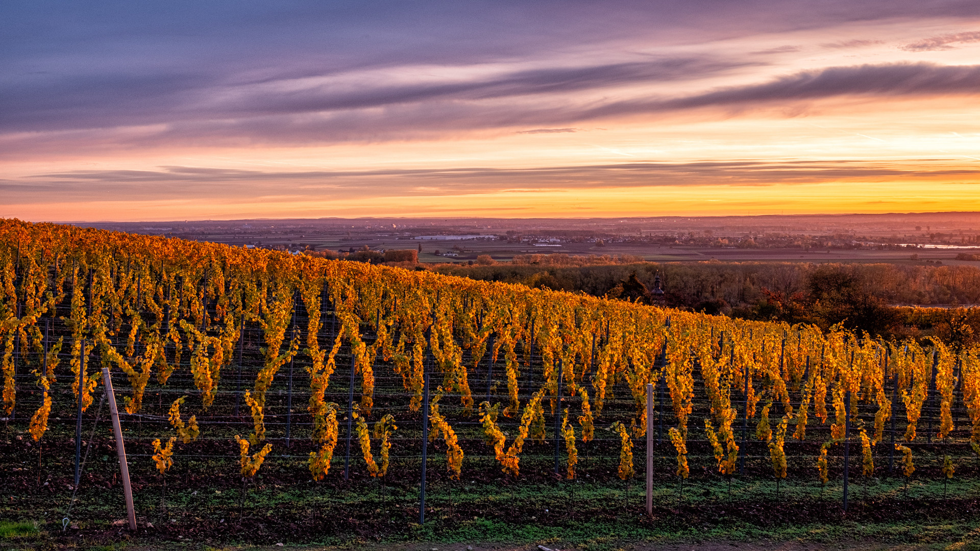 Sonnenaufgang auf dem Roter Hang 