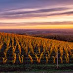 Sonnenaufgang auf dem Roter Hang 