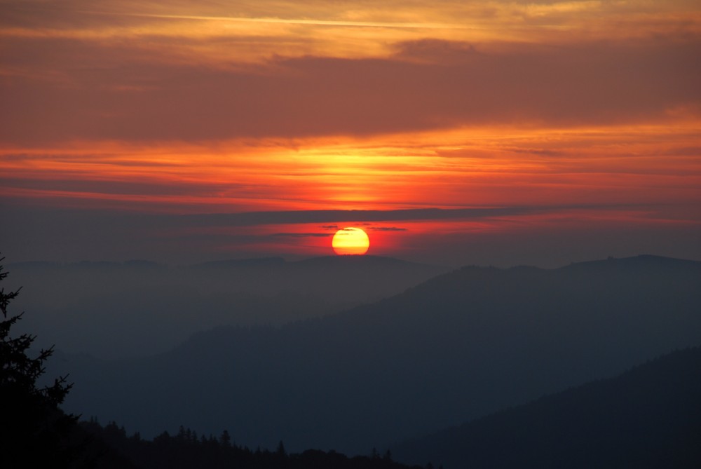 Sonnenaufgang auf dem Schauinsland