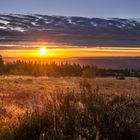 Sonnenaufgang auf dem Schliffkopf