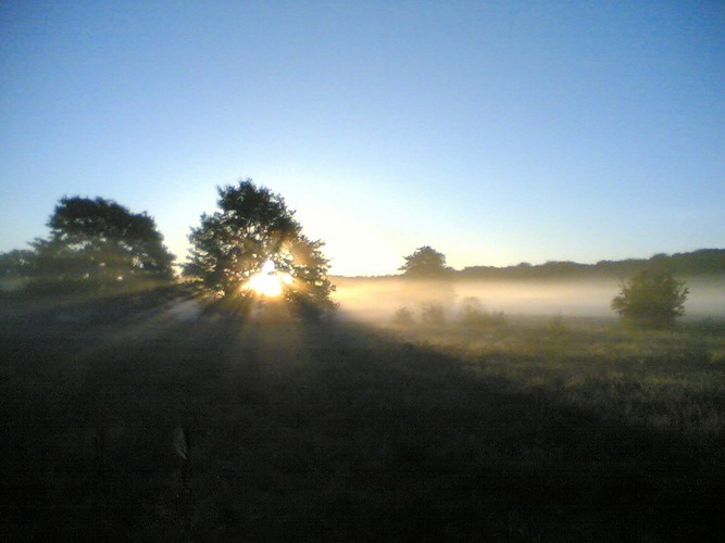 Sonnenaufgang auf dem Weg zur Arbeit