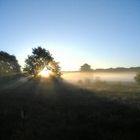 Sonnenaufgang auf dem Weg zur Arbeit