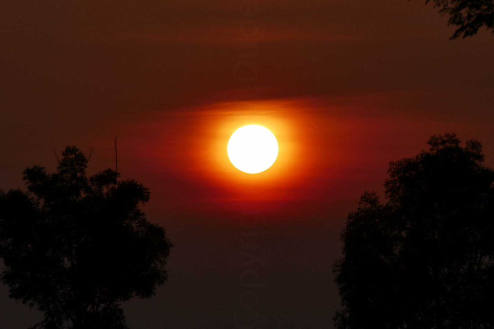 Sonnenaufgang auf dem Weg zur Autovermietung