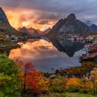 Sonnenaufgang auf den Lofoten