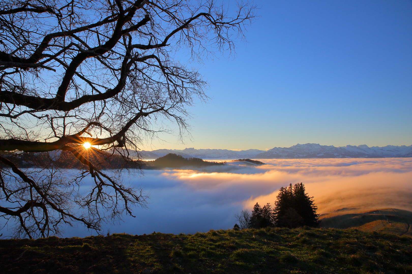 Sonnenaufgang auf der Alp Scheidegg