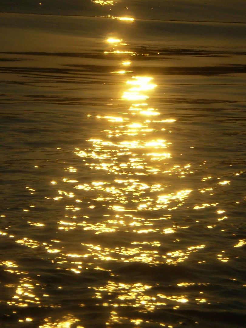 Sonnenaufgang auf der Donau