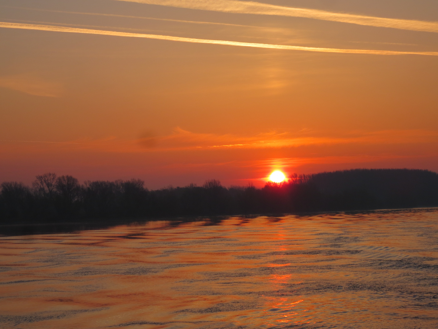 Sonnenaufgang auf der Donau